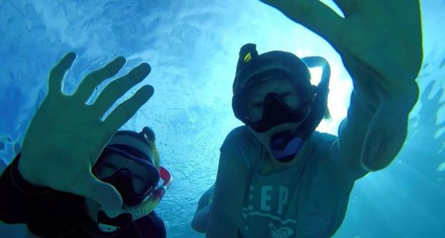 豊島区のダイビングスクールなら Blue Ocean おとまなコム