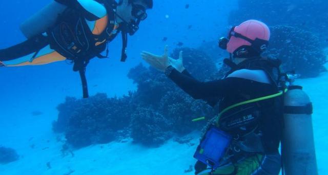 豊島区のダイビングスクールなら Blue Ocean おとまなコム