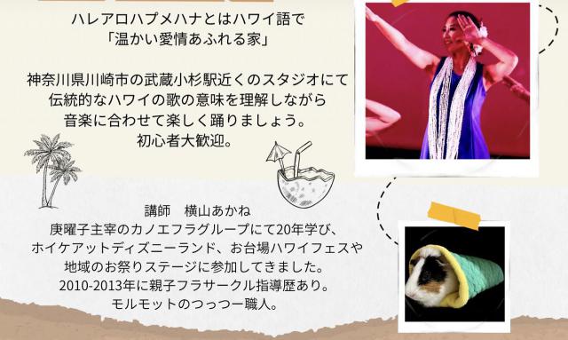 武蔵小杉でアットホームな少人数フラダンス