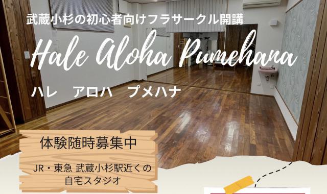 武蔵小杉でアットホームな少人数フラダンス